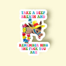 Load image into Gallery viewer, Take a Deep Breath Sticker