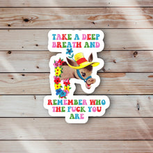Load image into Gallery viewer, Take a Deep Breath Sticker