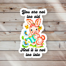 Load image into Gallery viewer, You Are Not Too Old & It Is Not Too Late Sticker