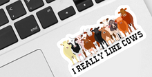 Load image into Gallery viewer, I Really Like Cows Sticker