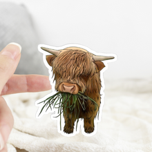 Load image into Gallery viewer, Highland Cow Vinyl Sticker