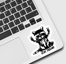 Load image into Gallery viewer, Raccoon Stay Trashy Sticker