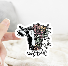 Load image into Gallery viewer, Cow Not Today Heifer Sticker
