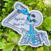 Load image into Gallery viewer, Hydrate or Diedrate Sticker
