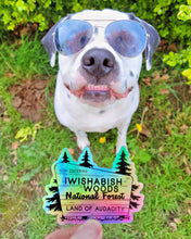 Load image into Gallery viewer, Holographic Iwishabish Woods National Forest Sticker
