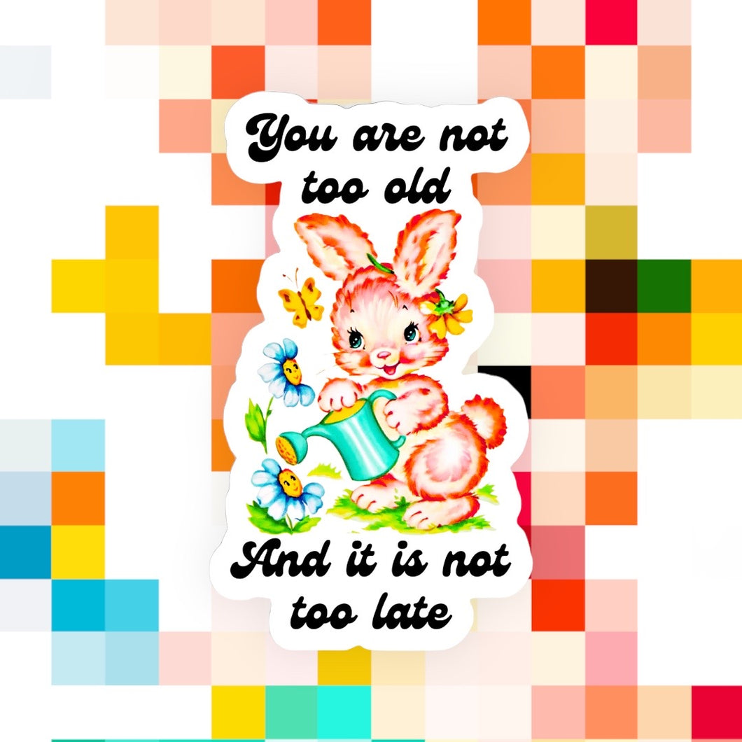 You Are Not Too Old & It Is Not Too Late Sticker