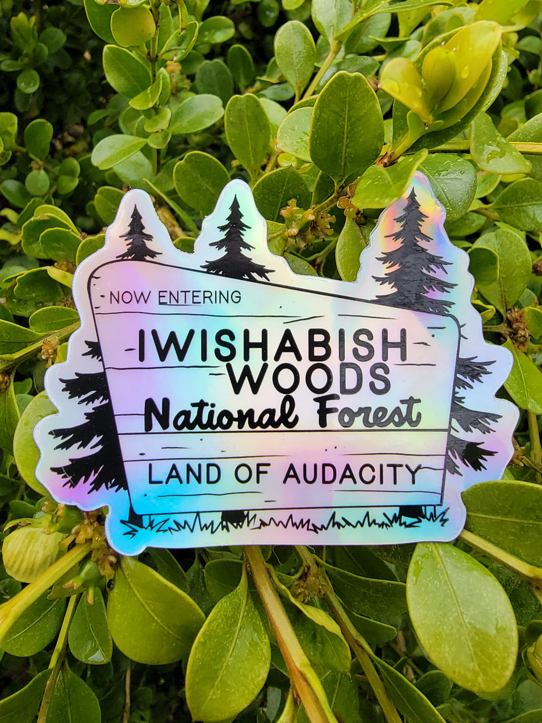 Holographic Iwishabish Woods National Forest Sticker