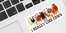 Load image into Gallery viewer, I Really Like Cows Sticker
