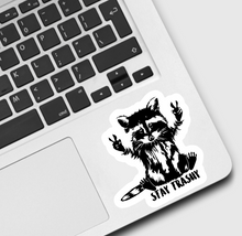 Load image into Gallery viewer, Raccoon Stay Trashy Sticker
